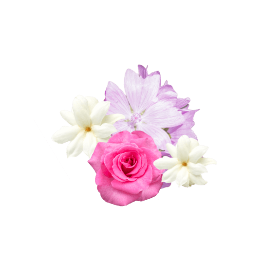 Description visuel de la senteur Chanel n°5 : rose, jasmin et musc