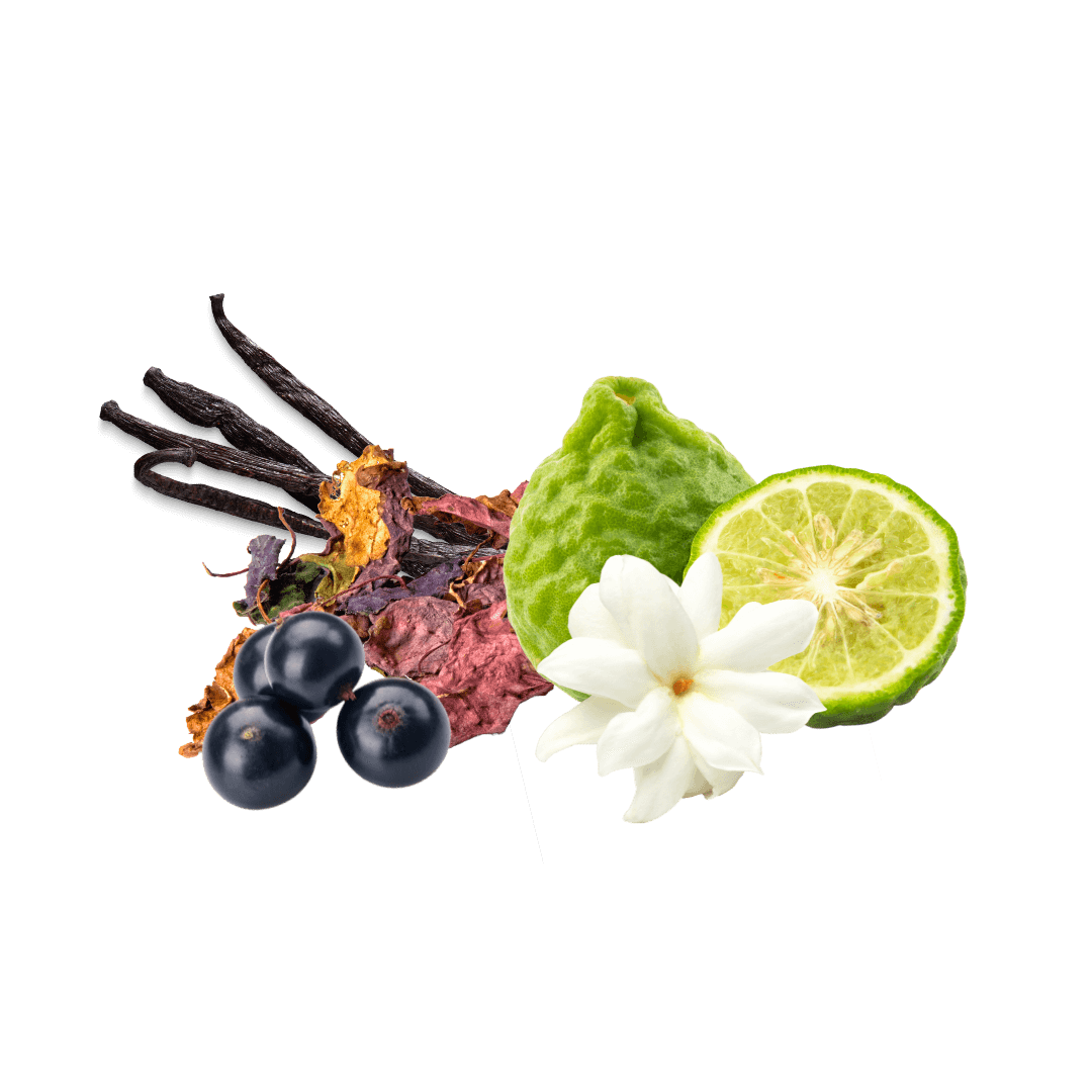 Cassis, bergamote, vanille et patchouli