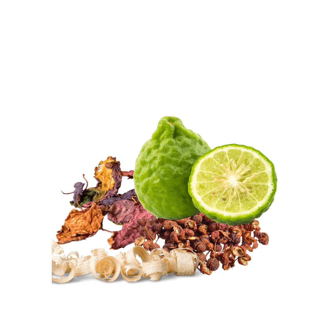bois de cèdre, patchouli, et bergamote