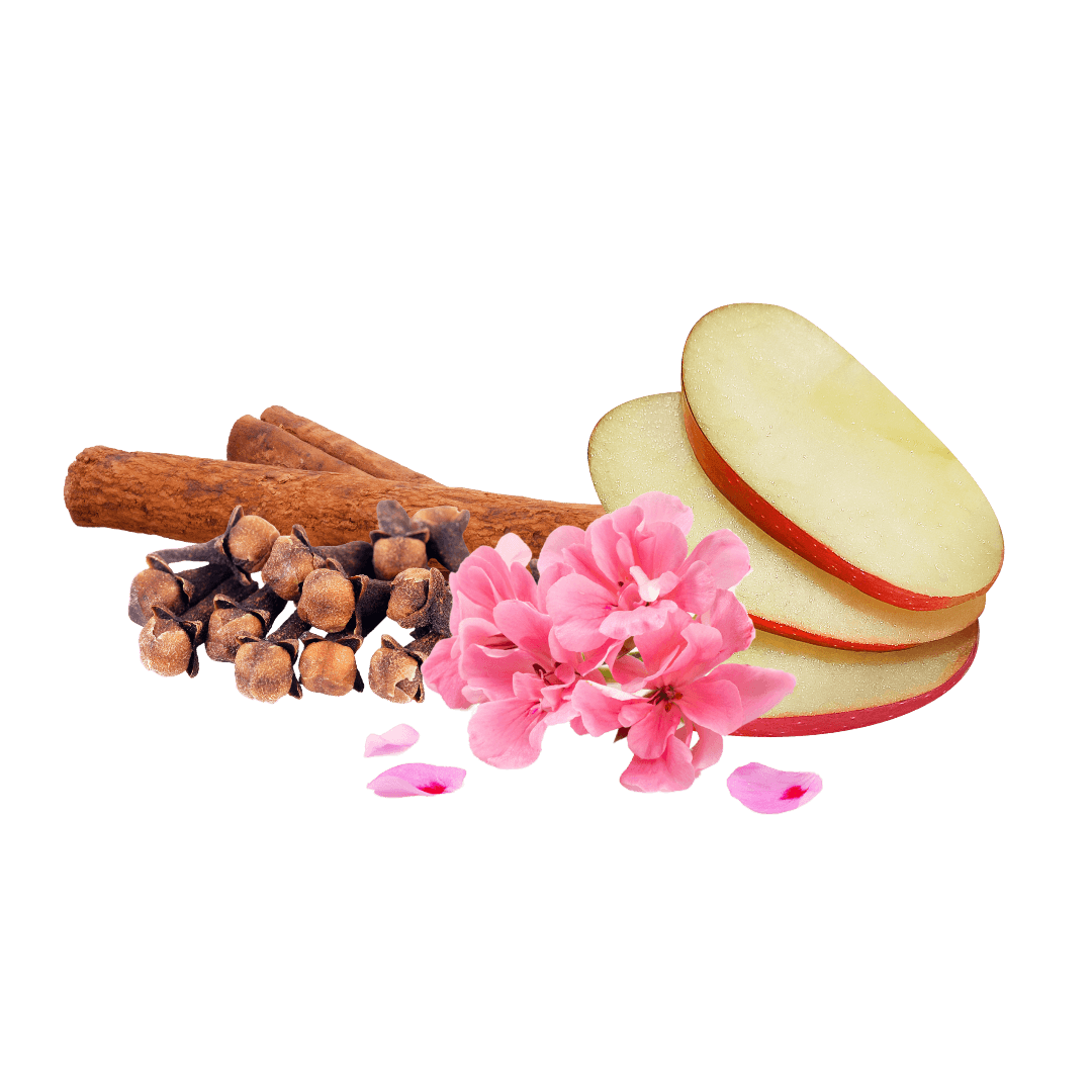 Pomme, cannelle, clou de girofle et géranium.