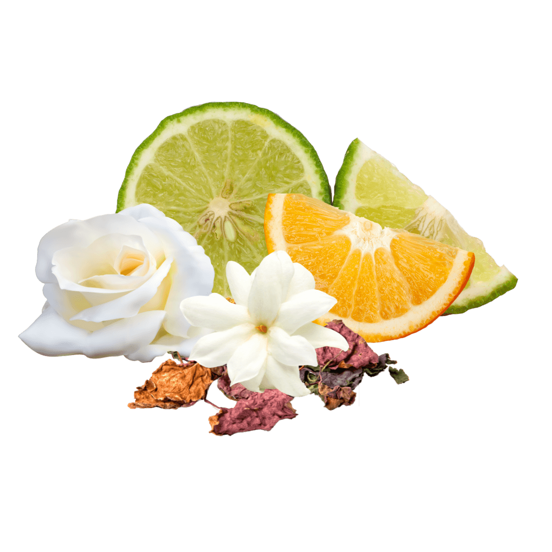 Bergamote, rose, jasmin orange et patchouli.