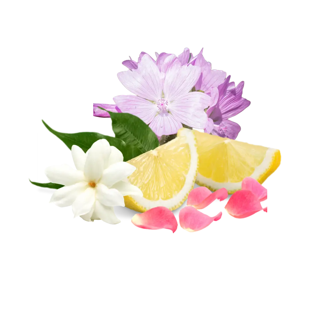 Citron, pétale de rose, jasmin et musc.
