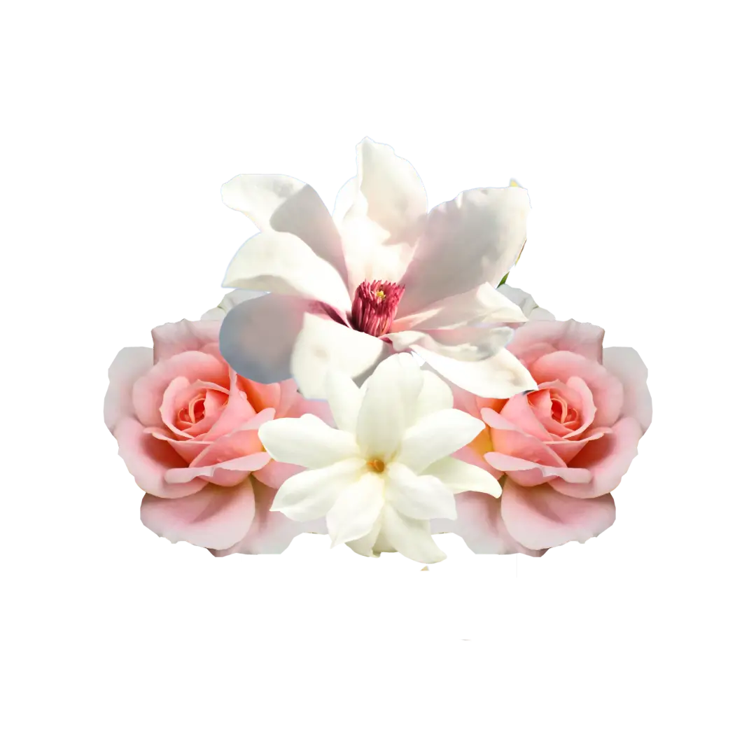 Rose, Magnolia et Jasmin