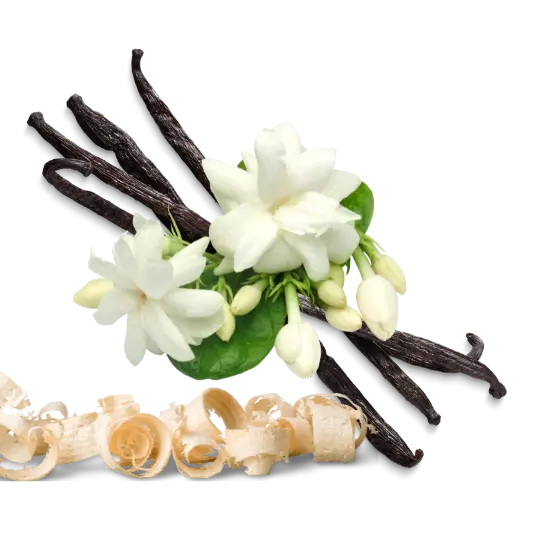 Description visuel de la senteur Olympe : Gousse de vanille, jasmin et bois de cèdre