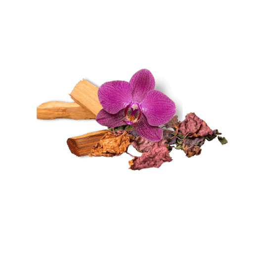 Description senteur orchidée noir : Bois de santal, patchouli et orchidé