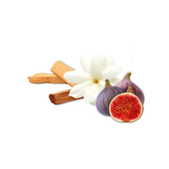 Description visuel de la senteur Ovni: Figue; bois de santal et Jasmin